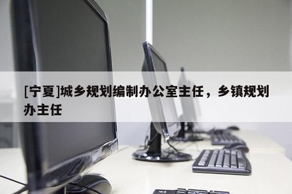 [寧夏]城鄉規劃編制辦公室主任，鄉鎮規劃辦主任