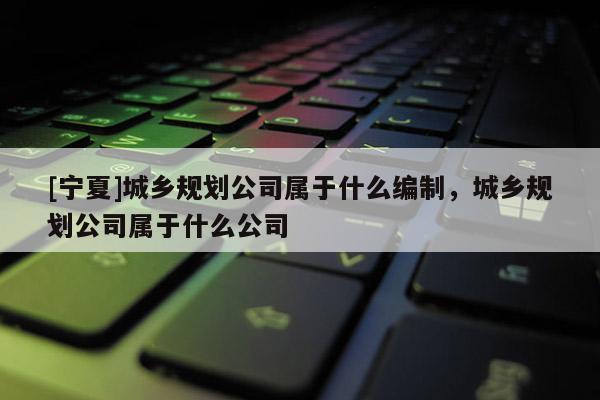 [寧夏]城鄉規劃公司屬于什么編制，城鄉規劃公司屬于什么公司