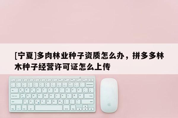 [寧夏]多肉林業(yè)種子資質(zhì)怎么辦，拼多多林木種子經(jīng)營(yíng)許可證怎么上傳