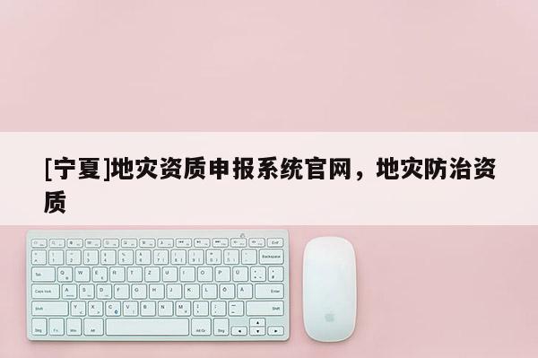 [寧夏]地災資質申報系統官網，地災防治資質