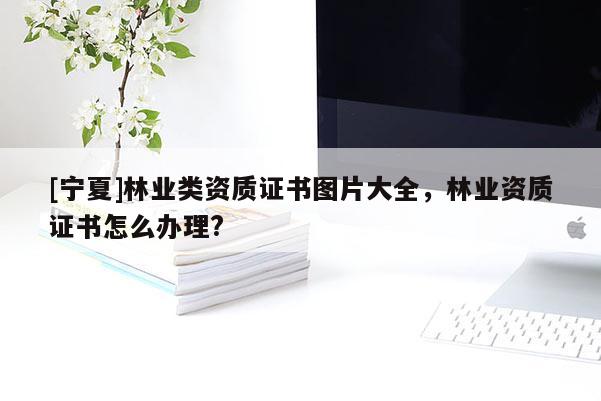 [寧夏]林業類資質證書圖片大全，林業資質證書怎么辦理?
