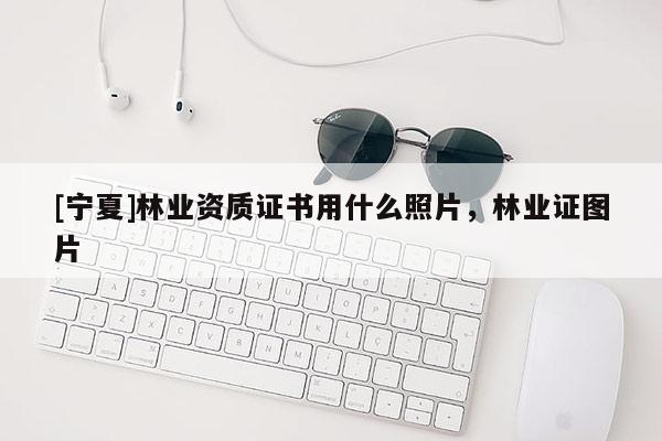 [寧夏]林業(yè)資質證書用什么照片，林業(yè)證圖片
