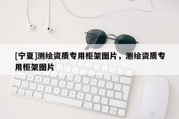 [寧夏]測繪資質專用柜架圖片，測繪資質專用柜架圖片