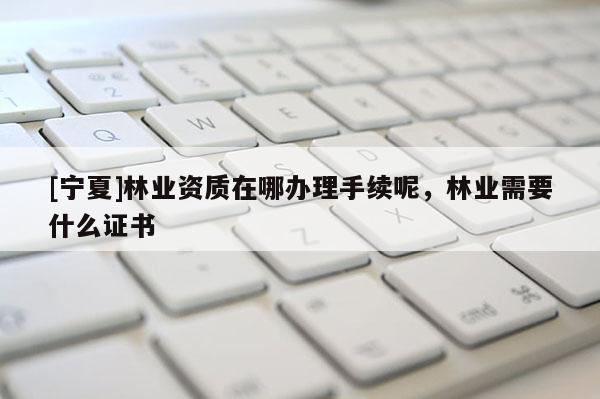 [寧夏]林業資質在哪辦理手續呢，林業需要什么證書