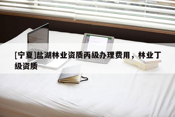 [寧夏]鹽湖林業(yè)資質(zhì)丙級(jí)辦理費(fèi)用，林業(yè)丁級(jí)資質(zhì)