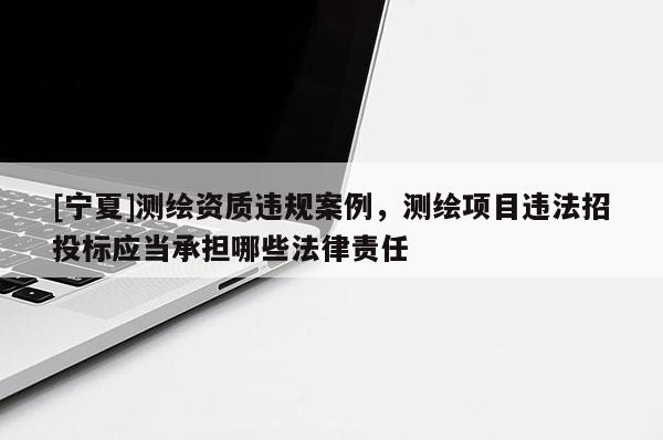 [寧夏]測繪資質(zhì)違規(guī)案例，測繪項目違法招投標應當承擔哪些法律責任