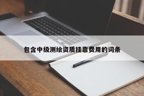 包含中級測繪資質掛靠費用的詞條