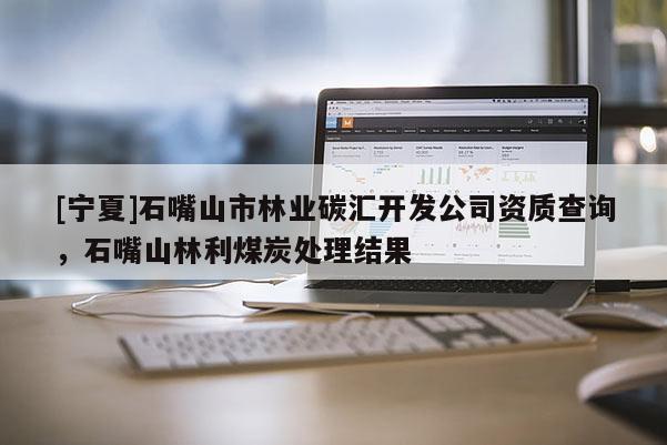 [寧夏]石嘴山市林業碳匯開發公司資質查詢，石嘴山林利煤炭處理結果